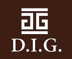 D.I.G.进口食品超市加盟