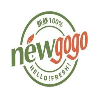 newgogo轻食加盟