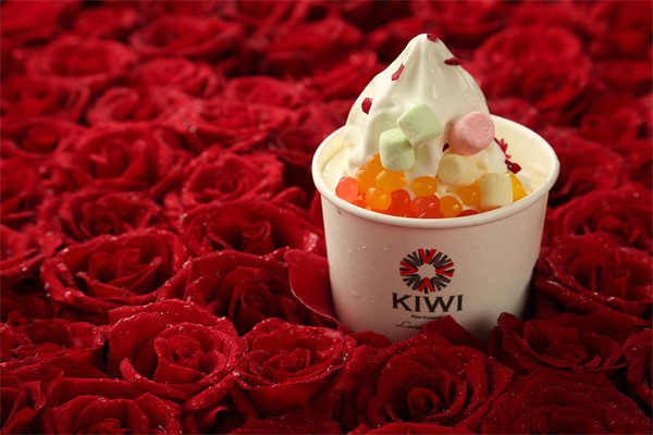 KIWI新西兰酸奶冰激凌门店产品图片