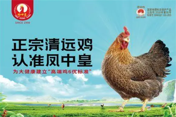 天农凤中皇清远麻鸡门店产品图片